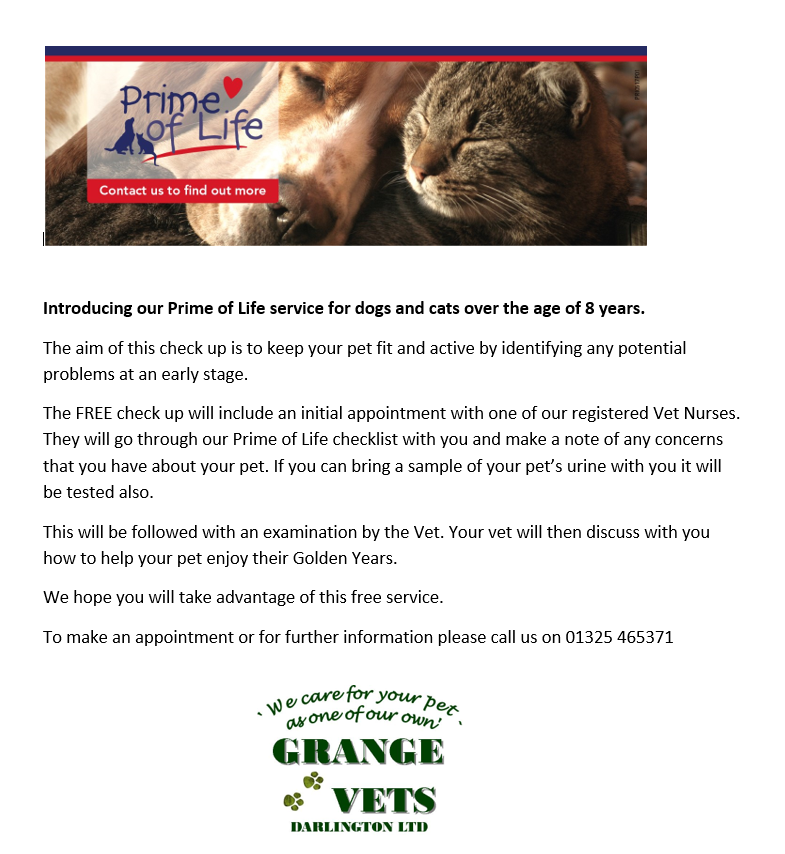 Grange Vets, friendly veterinary clinics in Darlington and Newton Aycliffe